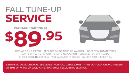 ServiceFallTune-Up_500x300_11248.jpg