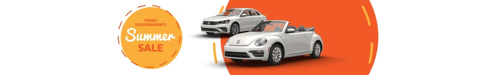 TeddyVW_WebBanner_960x150_SS_317.png