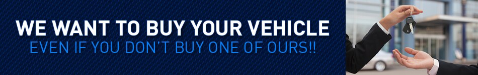 We Want To Buy Your Vehicle