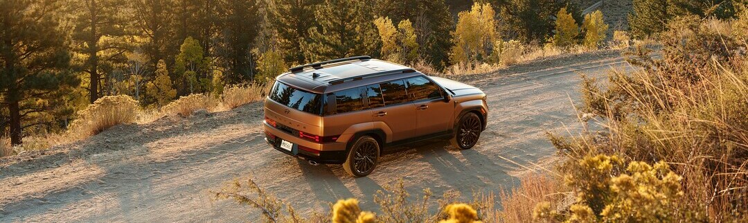Santa Fe Hybrid
