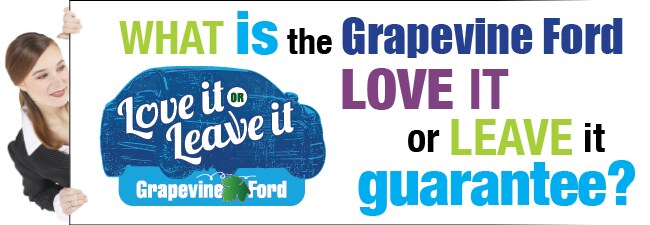 GF_Lander Header_Love It or Leave It.jpg