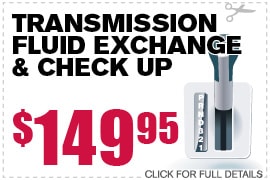Transmission Flush Exchange Check Up