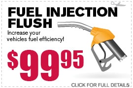 Fuel Injection Flush