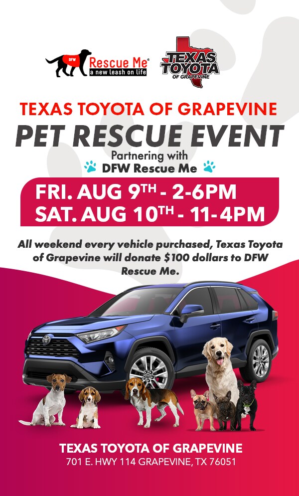 TT-LP-PetDrive.jpg