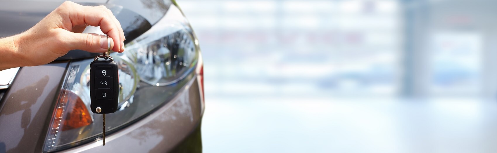 Car Dealer