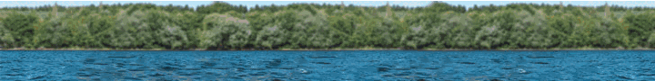 cours de bateau.gif