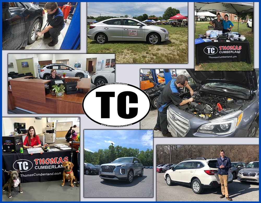 Thomas Cumberland Subaru Hyundai Dealership Employee Photos