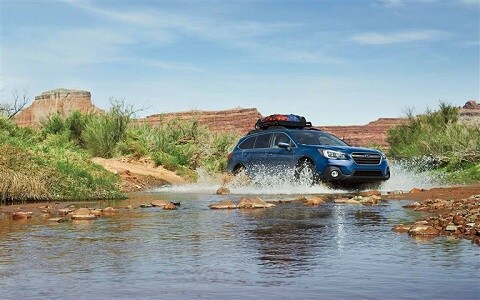 2019 Honda CR-V.jpg