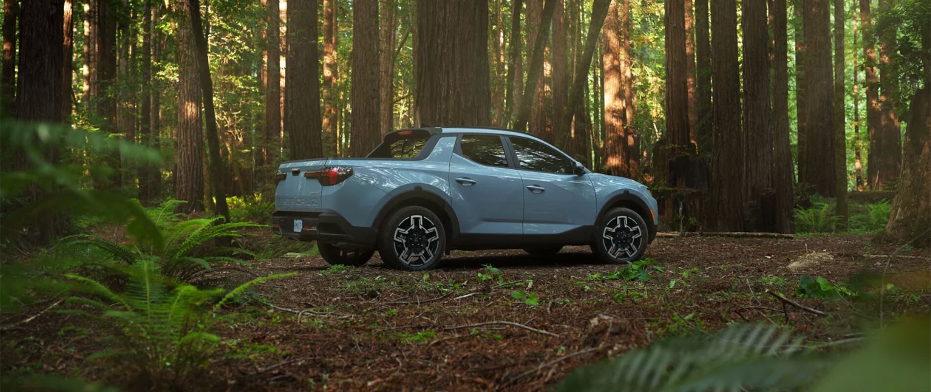 2025 Hyundai Santa Cruz Trim Comparison New Santa Cruz