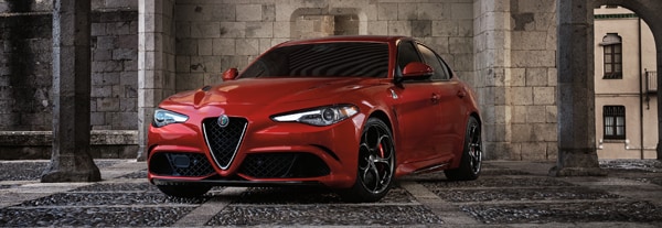 alfa-comp-6.png