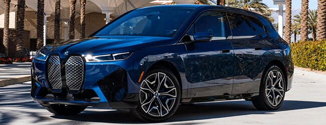 Blue BMW iX electric SUV parked in a palm-lined setting, featuring bold kidney grille and aerodynamic design