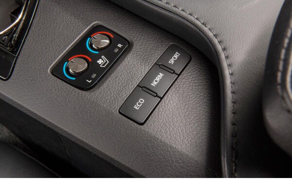 Avalon-Buttons.jpg