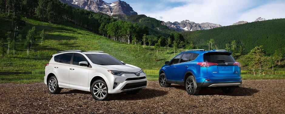 2017 Toyota RAV4