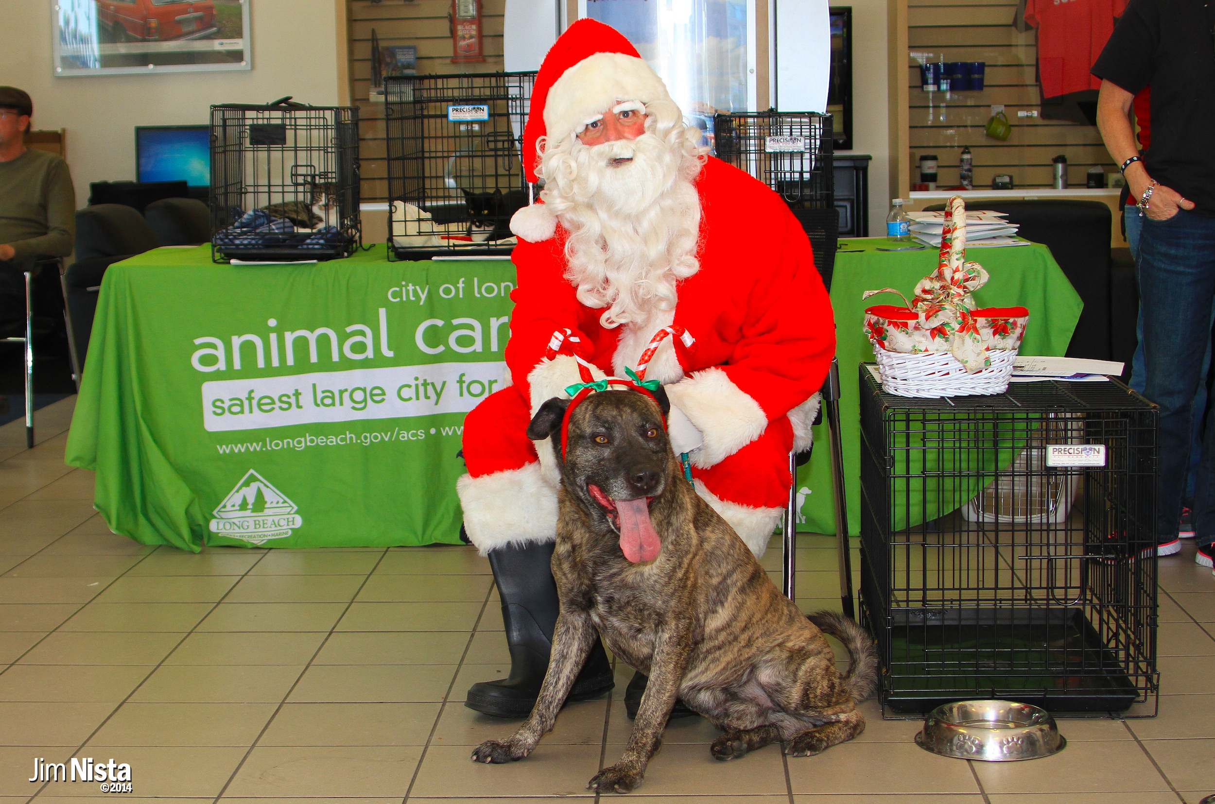 ACS 12-13-14 04.jpg