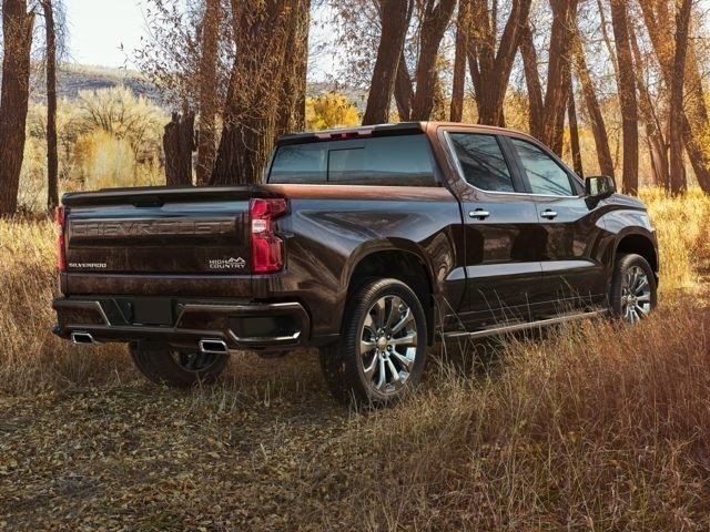 2019 Silverado 1500 back.jpg