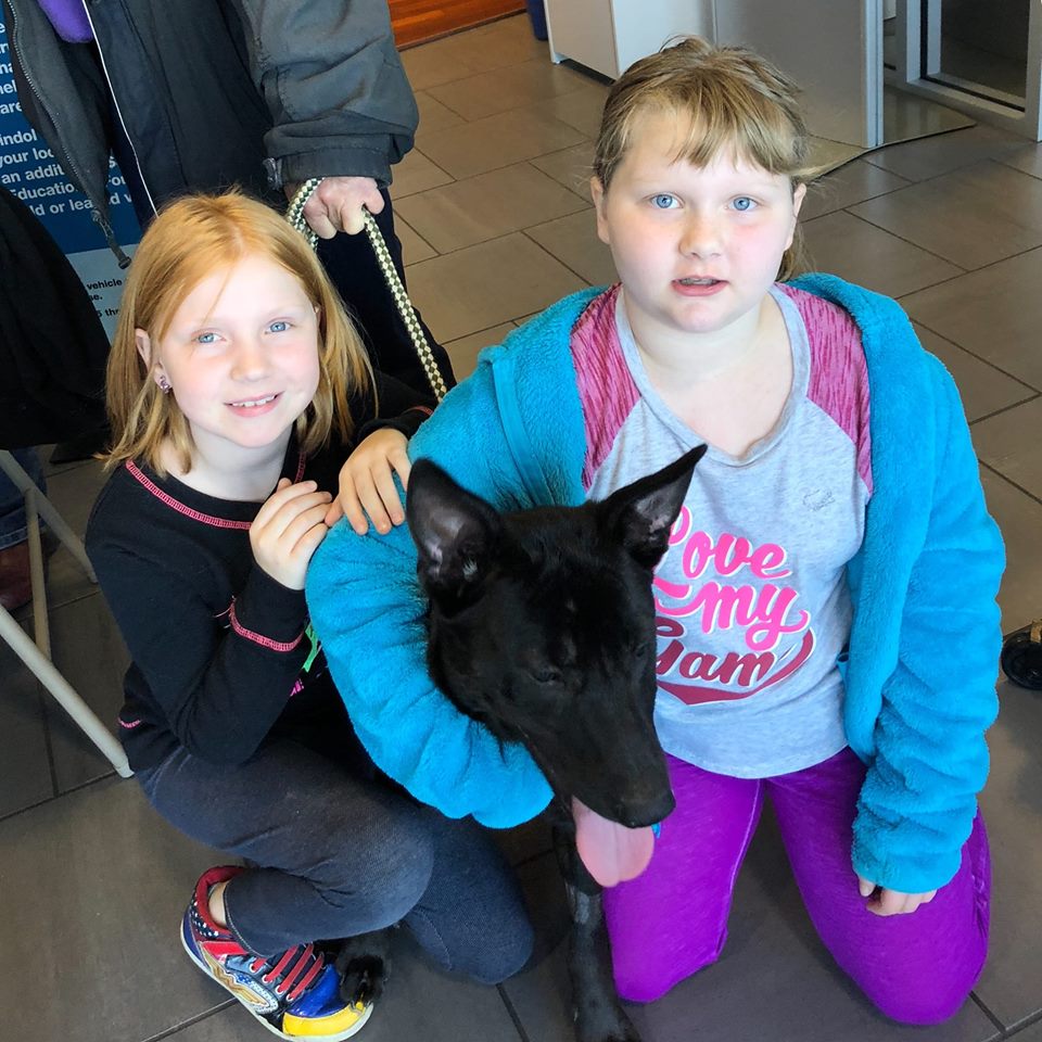 46441755_10157794082313942_4018728777776365568_n.jpg Tindol Subaru Loves Pets Week of Caring ASPCA Event