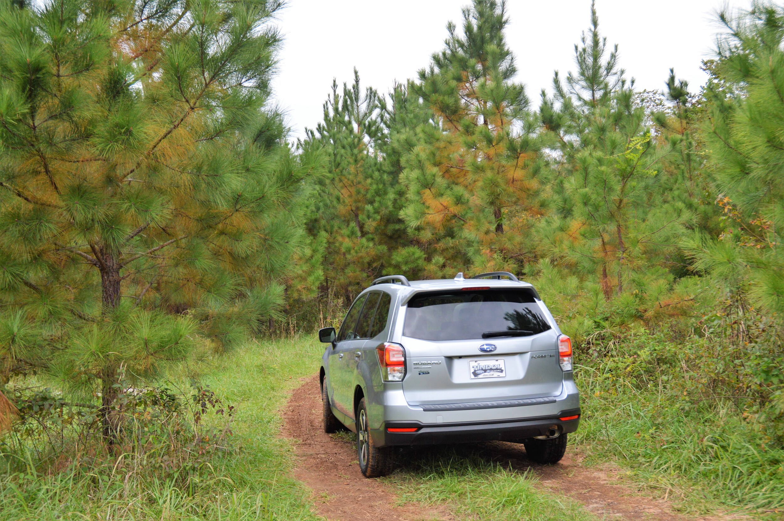 Subaru Forester Adventure.JPG