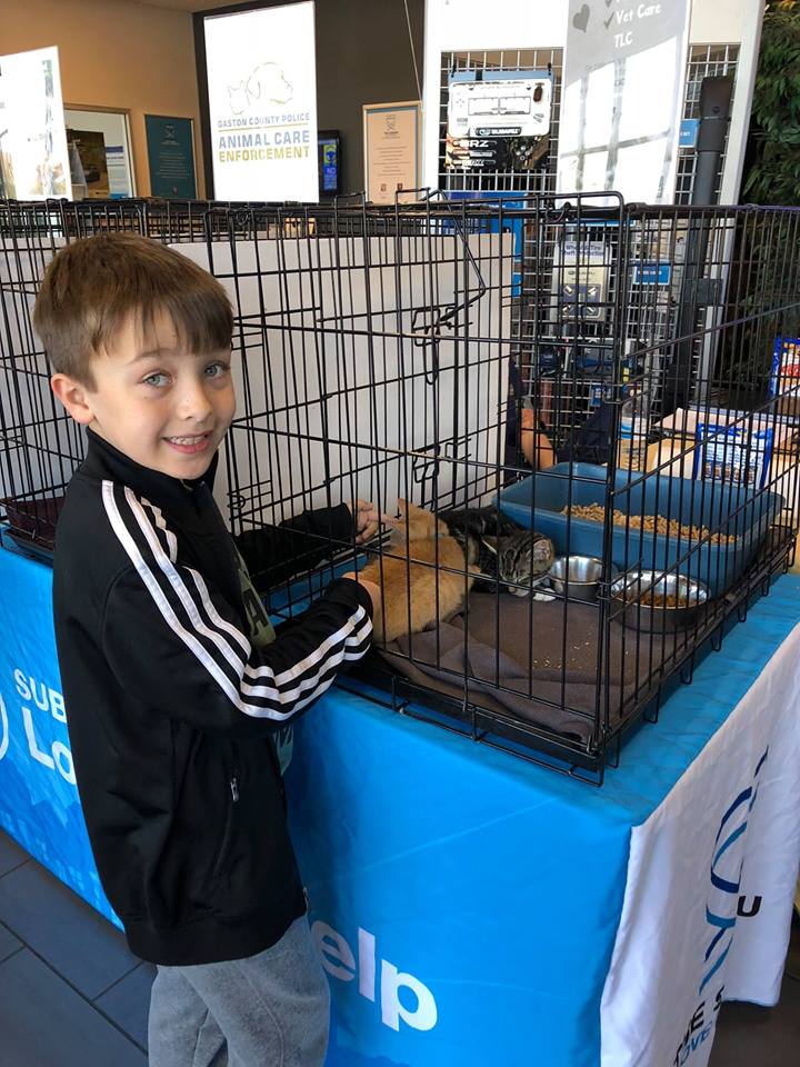 46479515_10157794082263942_6411908306276712448_n.jpg Tindol Subaru Loves Pets Week of Caring ASPCA Event