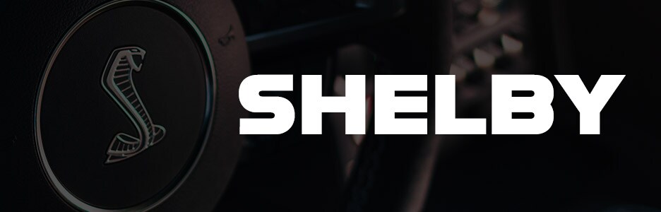 Tipton Ford | Ford Shelby | Brownsville, TX Tipton Ford | Ford Shelby | Brownsville, TX