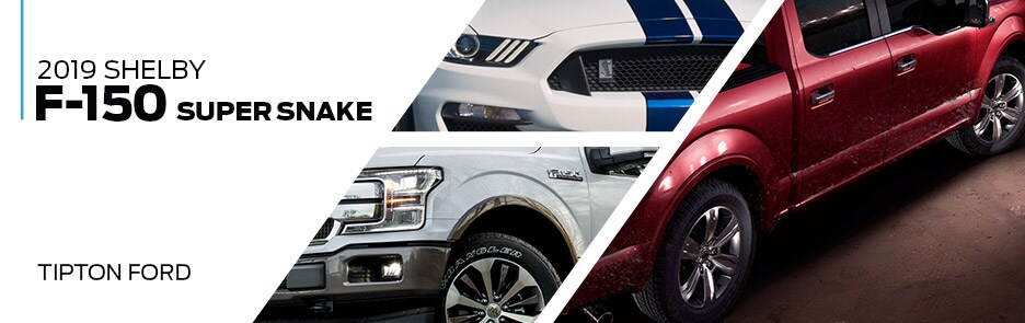 Tipton Ford | 2019 Shelby F-150 | Brownsville,TX Tipton Ford | 2019 Shelby F-150 | Brownsville,TX