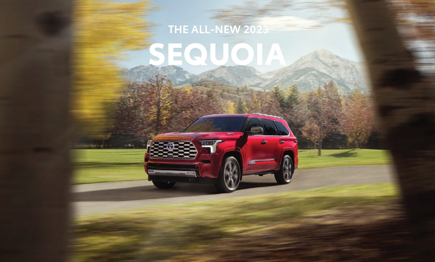 2023 Sequoia - Banner.png
