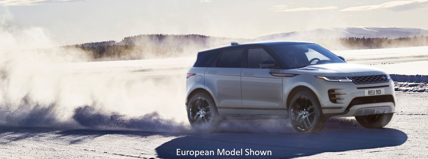 Evoque in motion.JPG