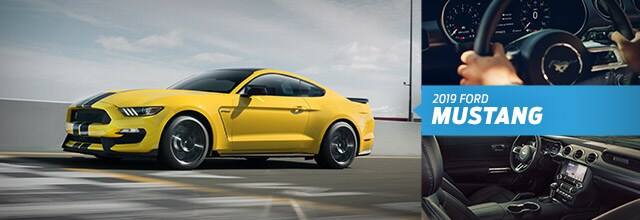 2019 Ford Mustang | Tom Kelley Ford 2019 Ford Mustang
