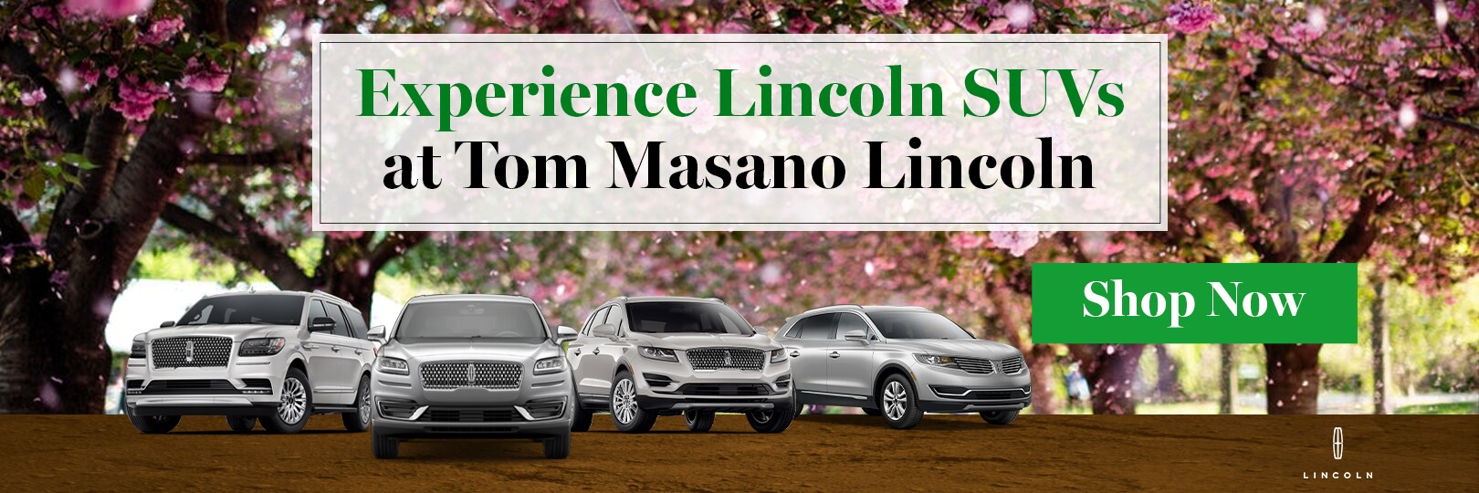 Tom Masano Lincoln