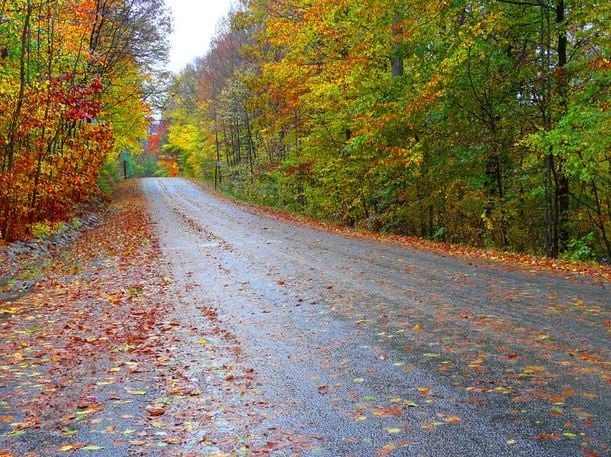 Autumn Road Hazards.JPG