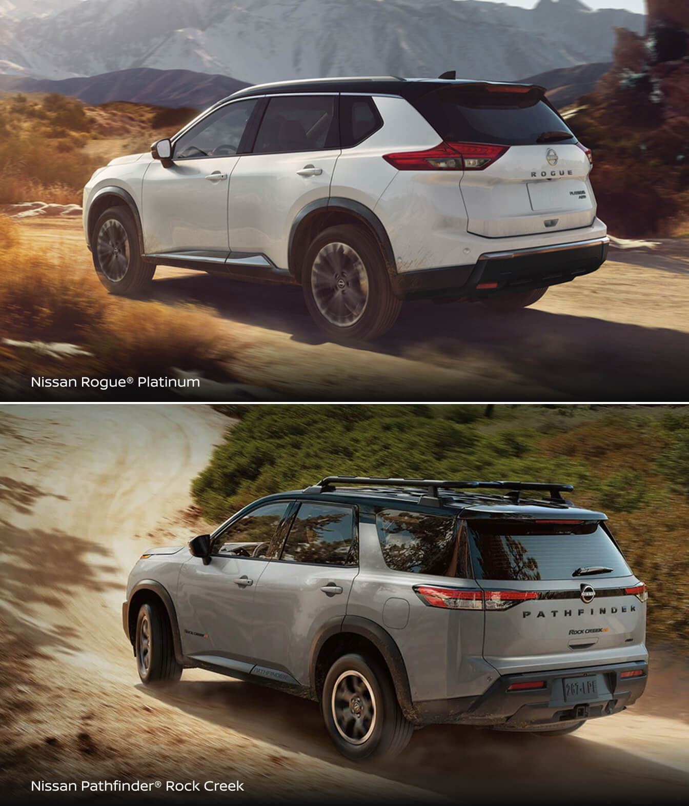 Nissan Rogue Platinum and Pathfinder Rock Creek SUVs rear view in desert landscape