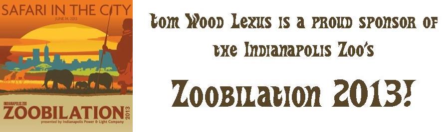 DIY Zoobilation2013.jpg