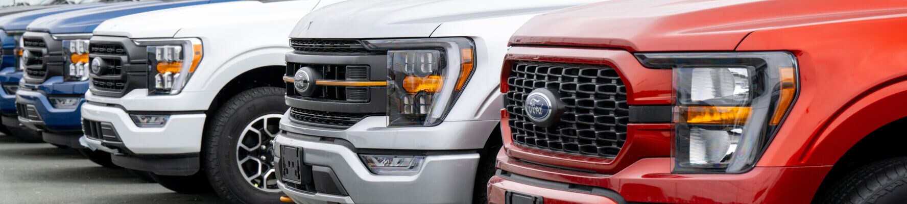 Front view of multiple Ford Trucks lined up