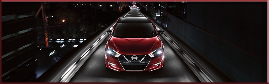 2016-Maxima.jpg