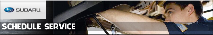 Schedule-Service-at-Tom-Wood-Subaru-Banner.jpg