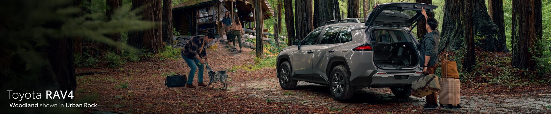 Toyota RAV4 banner