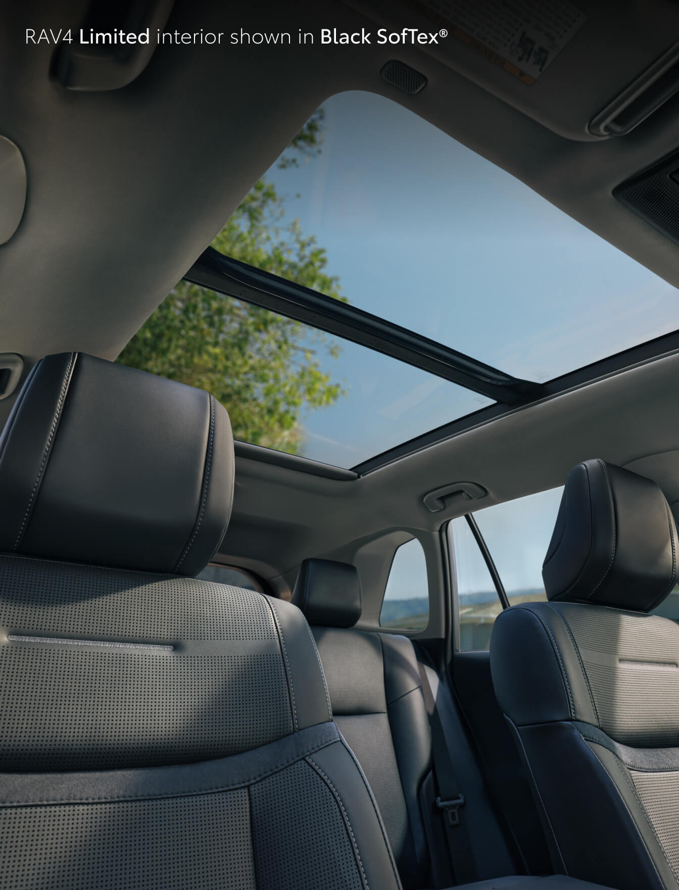 Toyota RAV4 Interior Colors and Materials