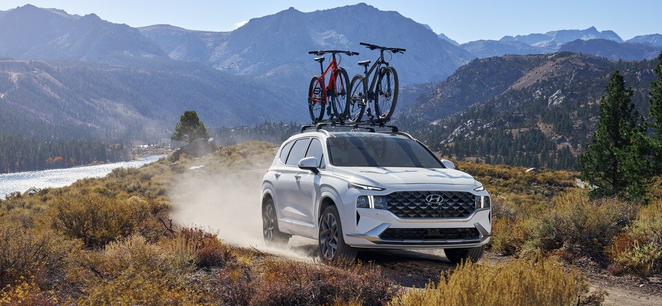 2021-Hyundai-SantaFe-Calligraphy-SUV.jpg