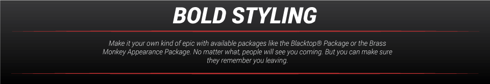 PersonalizedStyling.png