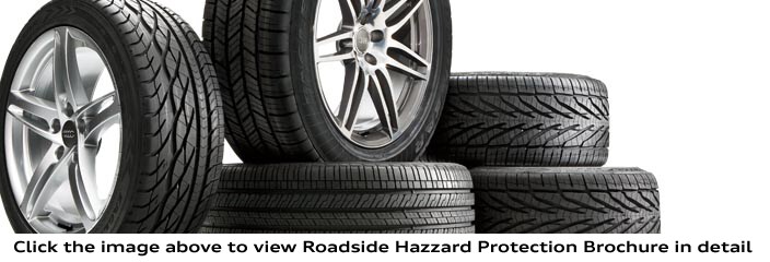 road-hazzard-protect-pic.png