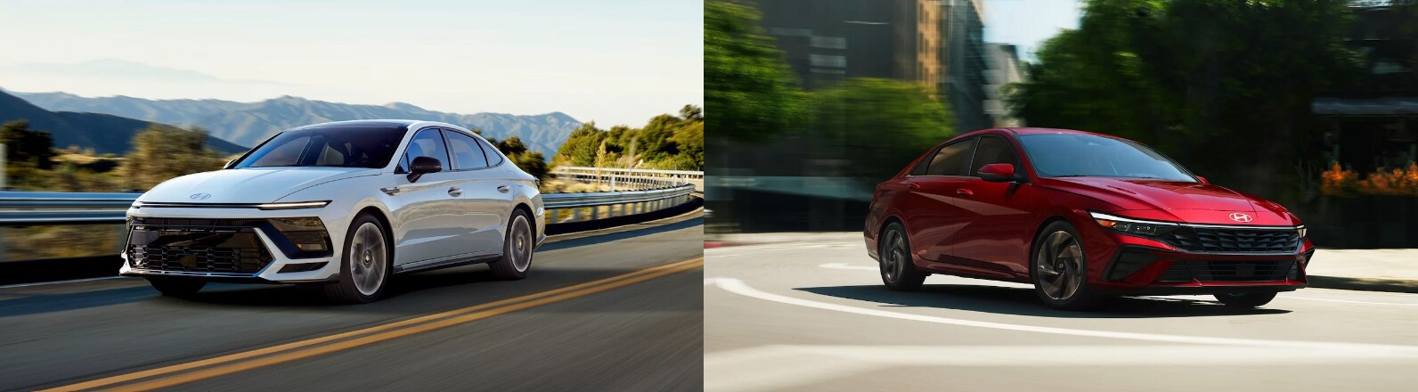 which-hyundai-sedan-is-best-for-you.png