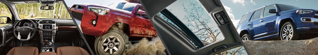 New 2019 Toyota 4Runner for Sale Raleigh NC