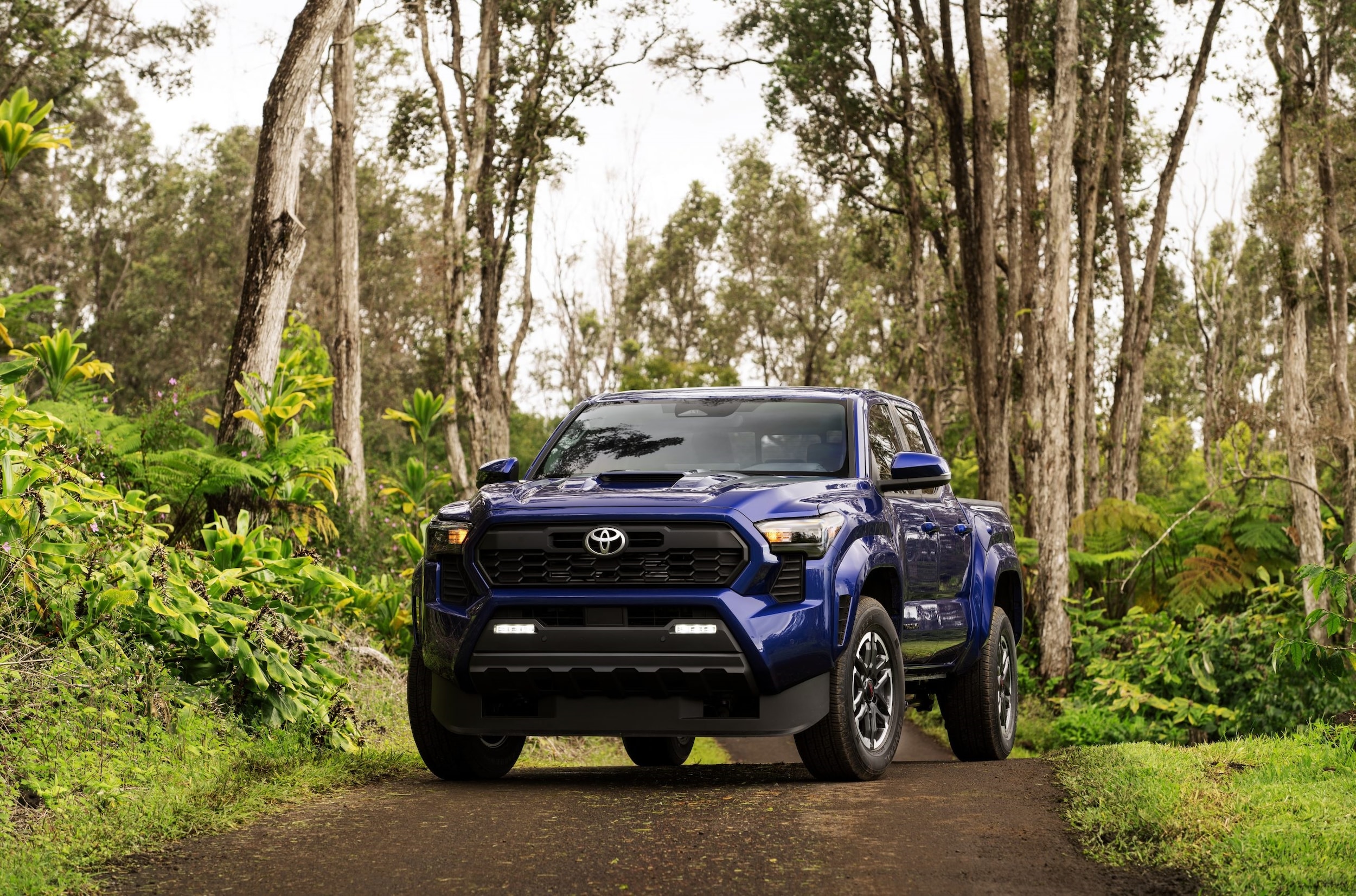 2024_Toyota_Tacoma_TRD_Sport_003-scaled.jpg
