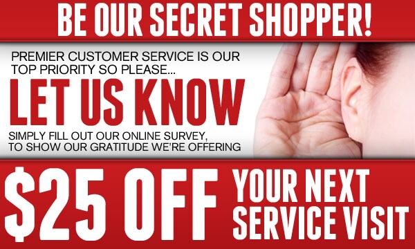 SecretShopper-600pix.jpg
