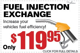Fuel Injection Flush