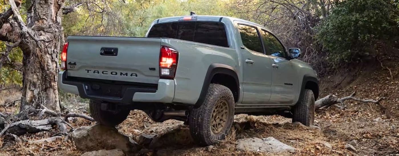 A grey 2024 Toyota Tacoma from the rear at an angle.