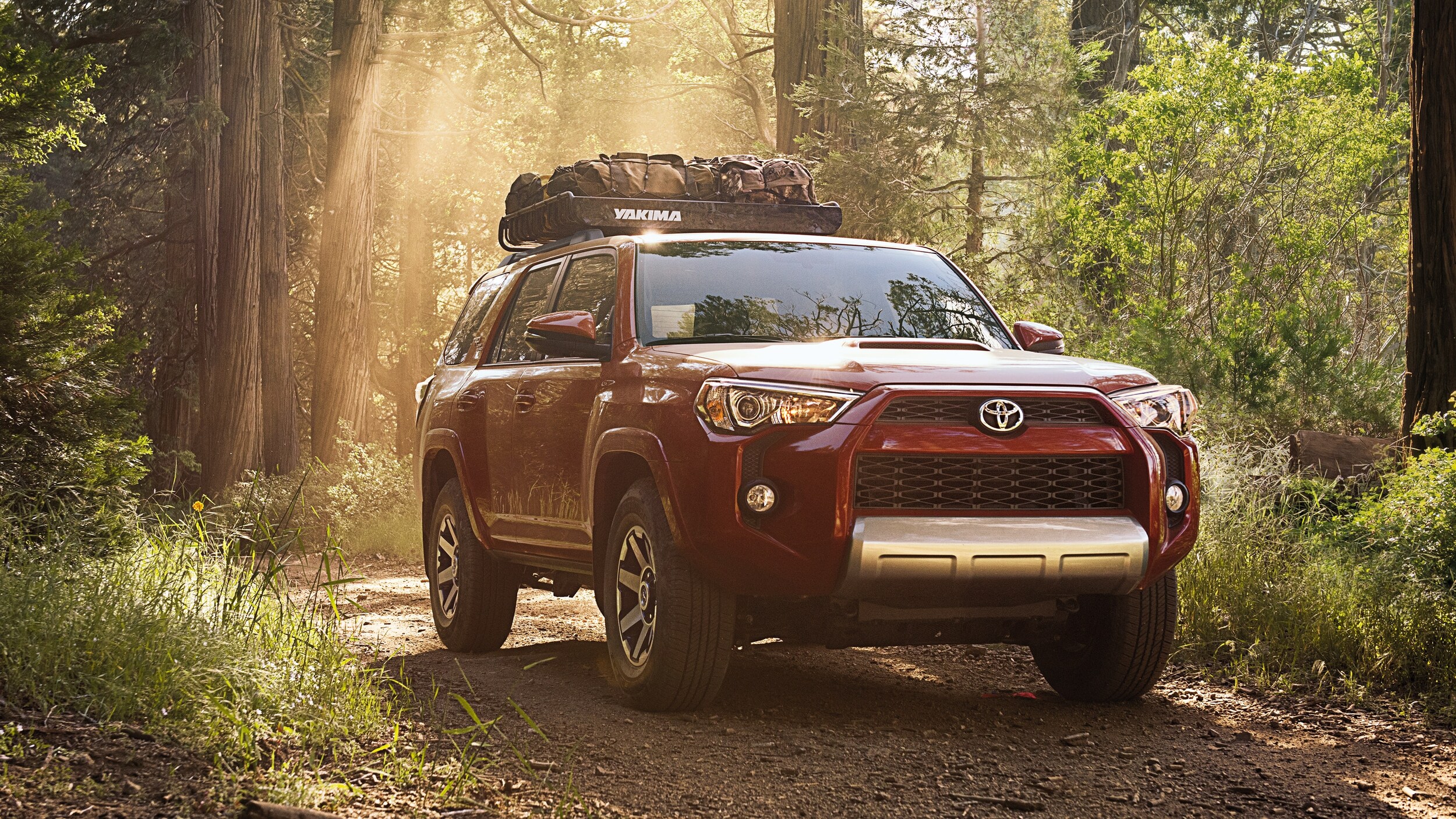 2019 Toyota 4Runner at Toyota of Keene in East Swanzey, NH!