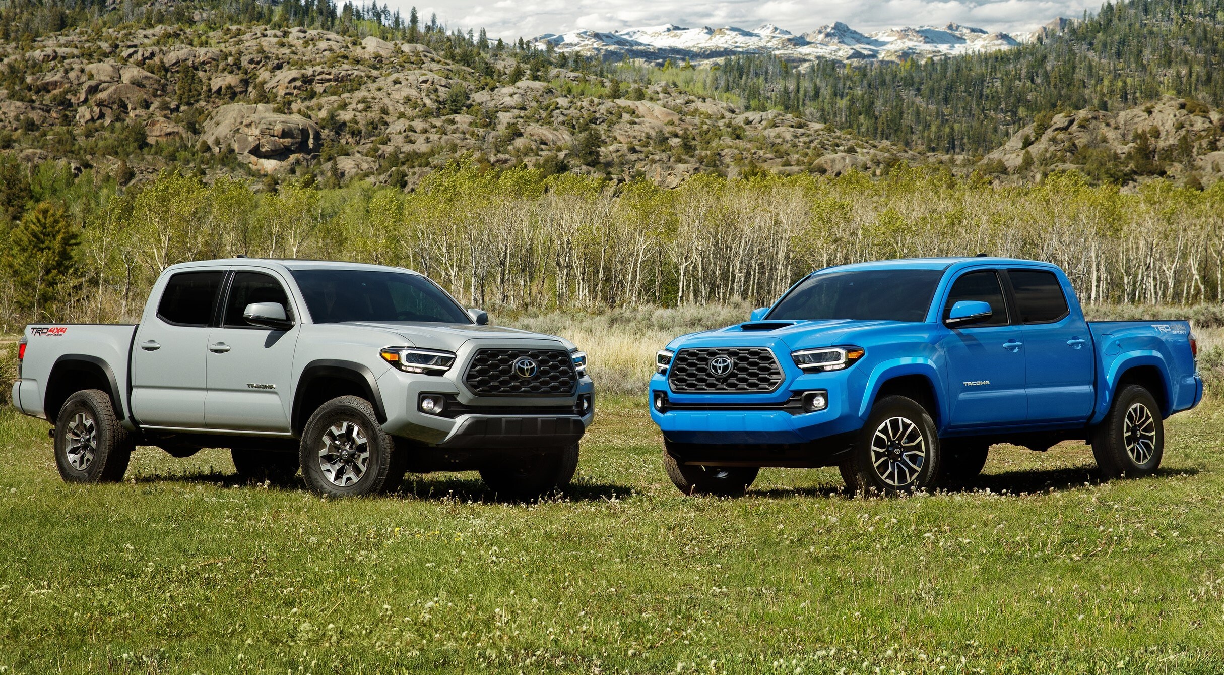 2020 Toyota Tacoma For Sale at Toyota of Keene