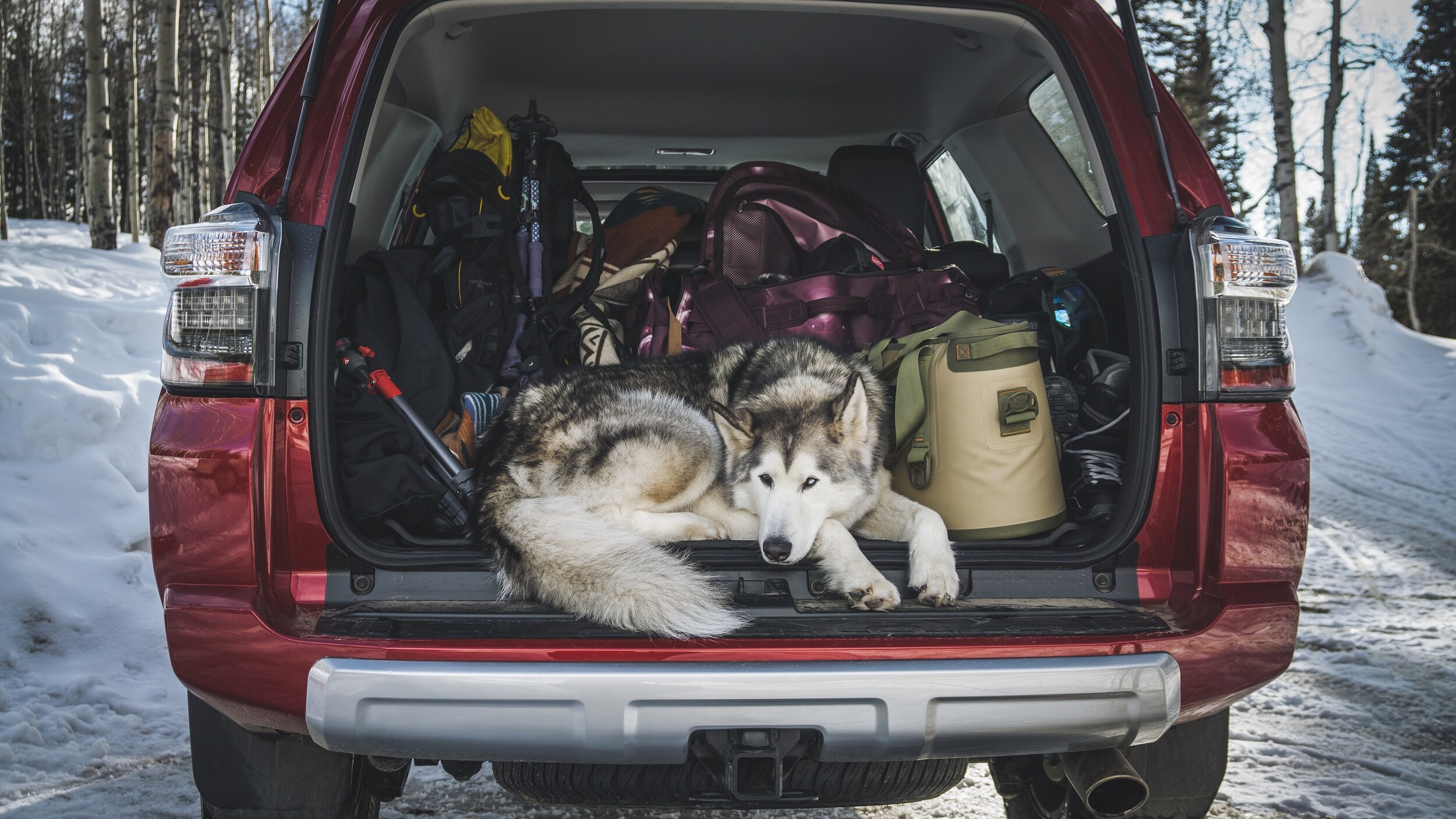 2020 Toyota 4Runner Cargo