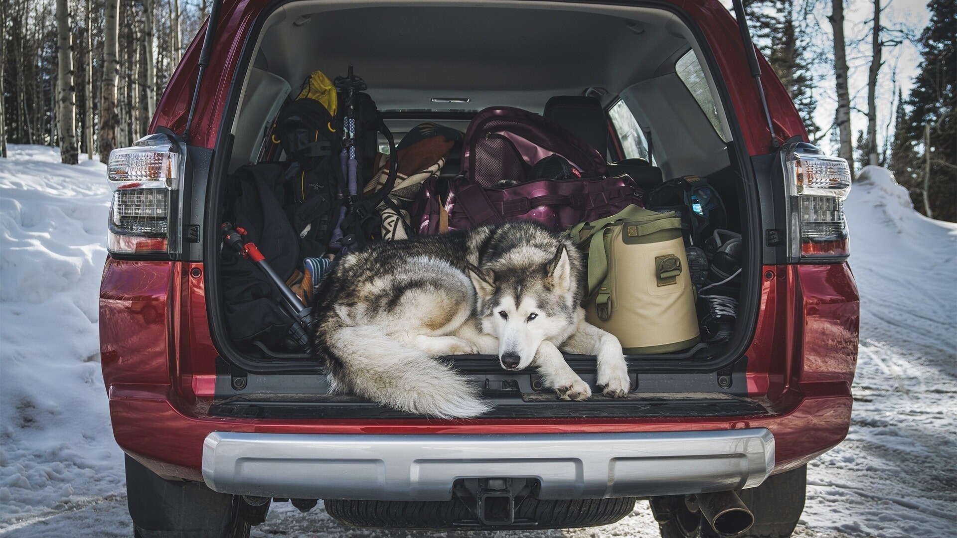 2019 Toyota 4Runner Cargo Space