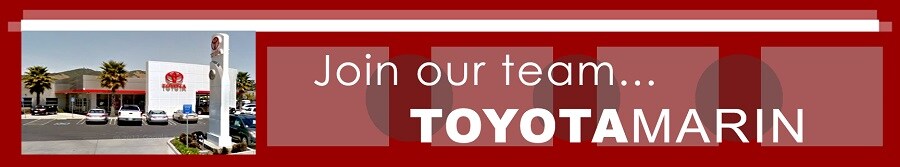 HR Banner for TM 1.jpg